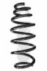 SPIDAN 85546 Coil Spring